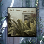 Gave In Rest - Sarah Davachi