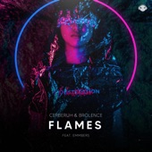 Flames (feat. Emmbers) artwork