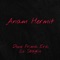 Dove Prima Era Lo Sbaglio - Anam Hermit lyrics