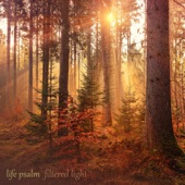Life Psalm - EP artwork