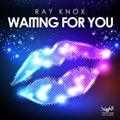 Waiting for You (Rob Mayth Remix) artwork
