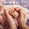 Shantala for Babies – Calm Music for Baby Relaxation, Pain Relief, Brain Development, Sleep Better