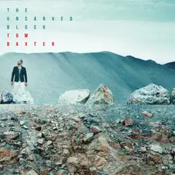 The Uncarved Block - Tom Baxter The Uncarved Block - Tom Baxter