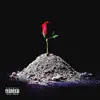 Flowers Freestyle - Single album lyrics, reviews, download