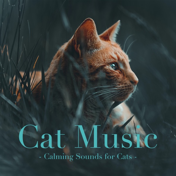 Download RelaxMyCat, Cat Music & Cat Music Therapy Cat Music: Calming Sounds for Cats Album MP3