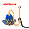 Antenna - EP