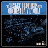 The Teskey Brothers - Carry You (feat. Orchestra Victoria) [Live at Hamer Hall]