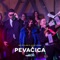 Pevačica - Djani, Jana & MC Stojan lyrics