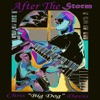 After the Storm - Single