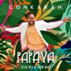 Papaya (Sick Wit It Crew Mix) - Single