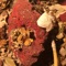 In The Morning Light (Terence Fixmer Remix) - Sylph lyrics