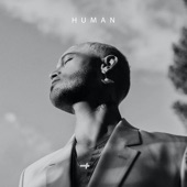 Human (feat. Vince Harder & Louis Baker) artwork
