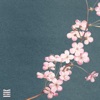 Cherry Blossom - Single