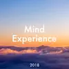 Mind Experience 2018 - Relaxing Concentration Music to Enhance your Brain Power album lyrics, reviews, download