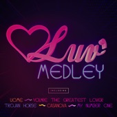 Luv' Medley (U.O.Me / You're the Greatest Lover / Casanova / Trojan Horse / My Number One) artwork