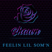 Shawn Stockman - Feelin’ lil Som’n