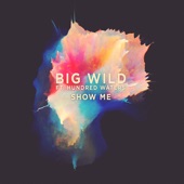 Big Wild - Show Me (feat. Hundred Waters)