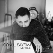 Gönül Sayfam artwork