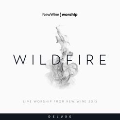 WILDFIRE - LIVE WORSHIP FROM NEW WINE cover art