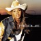 I Can't See - Nicole lyrics