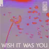 Wish It Was You (feat. Cate Downey) - Single album lyrics, reviews, download