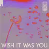 Stream & download Wish It Was You (feat. Cate Downey) - Single