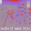 Wish It Was You (feat.  Cate Downey) - Single