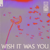 Wish It Was You (feat.  Cate Downey) artwork