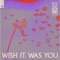 Wish It Was You (feat.  Cate Downey) artwork