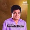 Gamata Kalin (Authentic Version) - Single