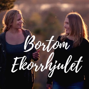 Bortom ekorrhjulet