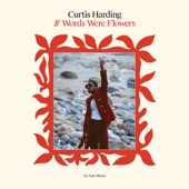 Curtis Harding - I Won't Let You Down