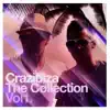 Crazibiza - The Collection, Vol.1 album lyrics, reviews, download