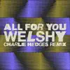 All for You (Charlie Hedges Remix) - Single album lyrics, reviews, download