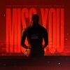 Miss You - Single