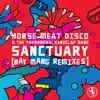 Sanctuary (Ray Mang Remixes) - EP album lyrics, reviews, download