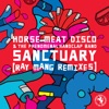 Sanctuary (Ray Mang Remixes) - EP