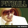 give-me-everything-the-remixes-feat-ne-yo-afrojack-nayer
