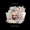 Bases y Condiciones - Nahuel Briones lyrics
