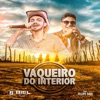 Vaqueiro do Interior (feat. Felipe Davi) - Single