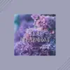 Stream & download Lilac Meadows - Single