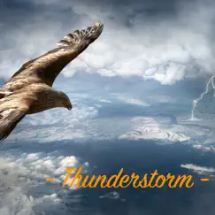 Thunderstorm by Rain Sounds & Rain & Thunder album reviews, ratings, credits