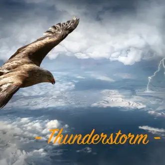 Thunderstorm by Rain Sounds & Rain & Thunder album reviews, ratings, credits