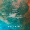 Catch Fire (RIBOE Remix) - Single