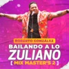 Mix Master's 2: Porro y Nada Más / Cambia la Aguja / Margarita / La Bartolera (Bailando a Lo Zuliano) - Single