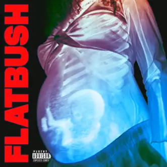 Afterlife - Single by Flatbush Zombies album reviews, ratings, credits