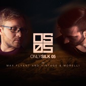 Only Silk 05 (Mixed by Max Flyant and Vintage & Morelli) artwork