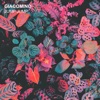 Giacomino - Jump Jump