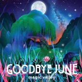 Goodbye June - Liberty Mother (Bonus Track)