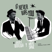 It Never Was You artwork